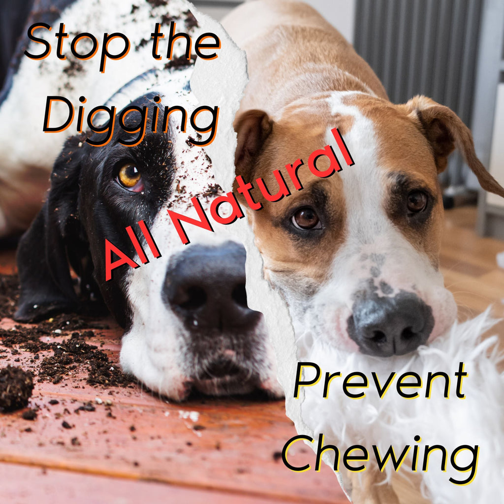 Chewing/Digging Prevention Bundle (Inside/Outside)