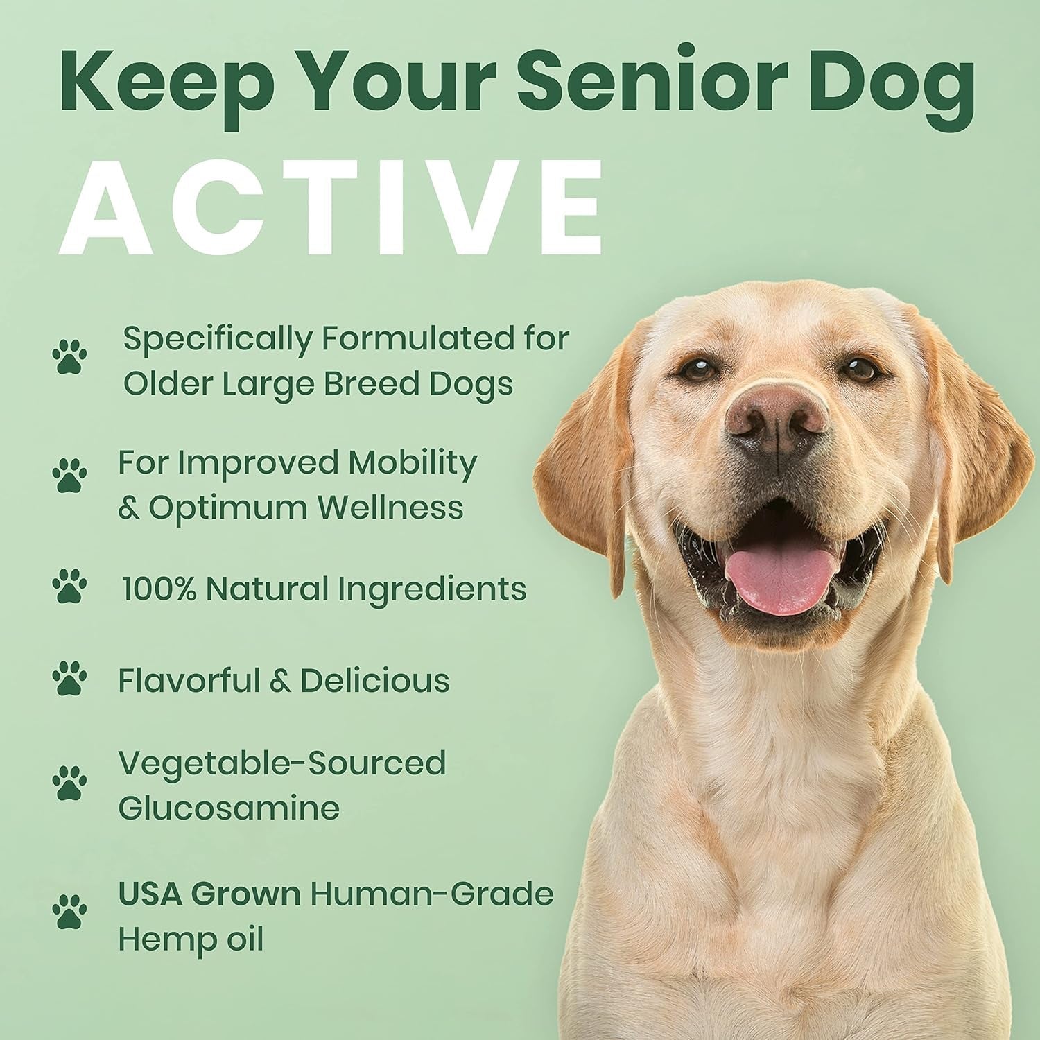 Hip Joint Supplement for Large Dogs