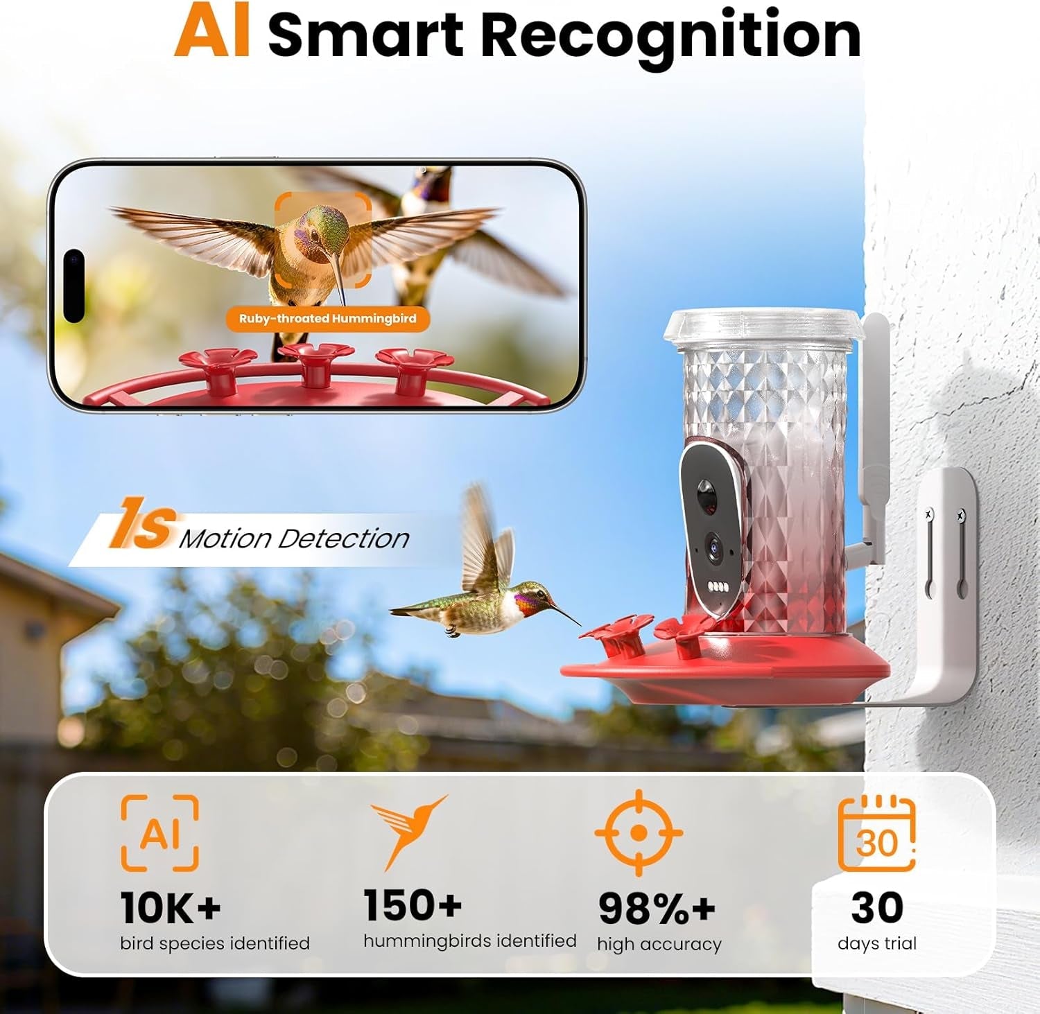 Solar Hummingbird Feeder with Camera