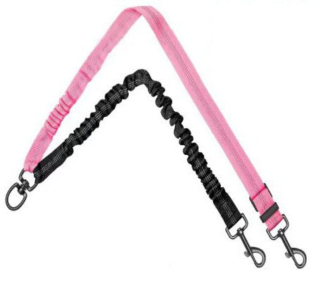 Double Leash for Dogs