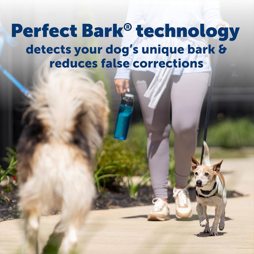 PetSafe  NanoBark  Bark Collar for Small Dogs