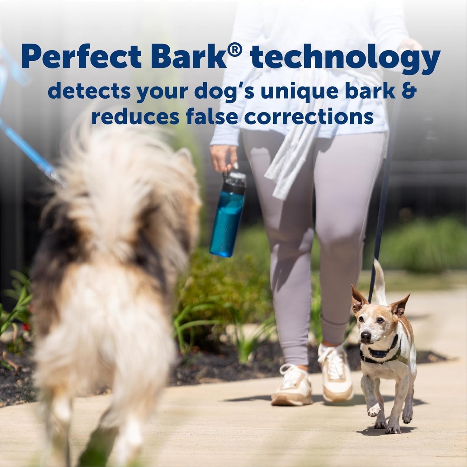PetSafe  NanoBark  Bark Collar for Small Dogs