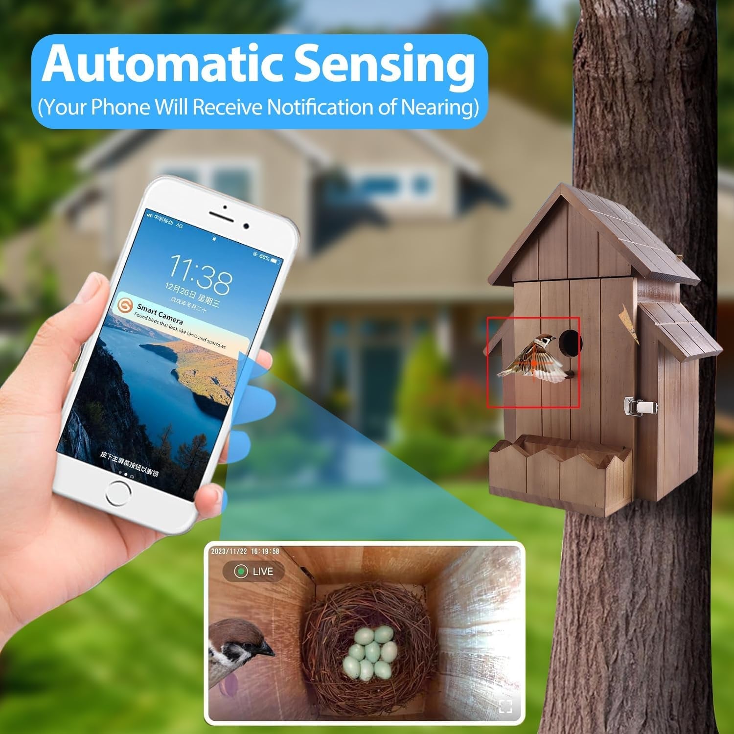 Nest Monitoring Birdhouse Camera