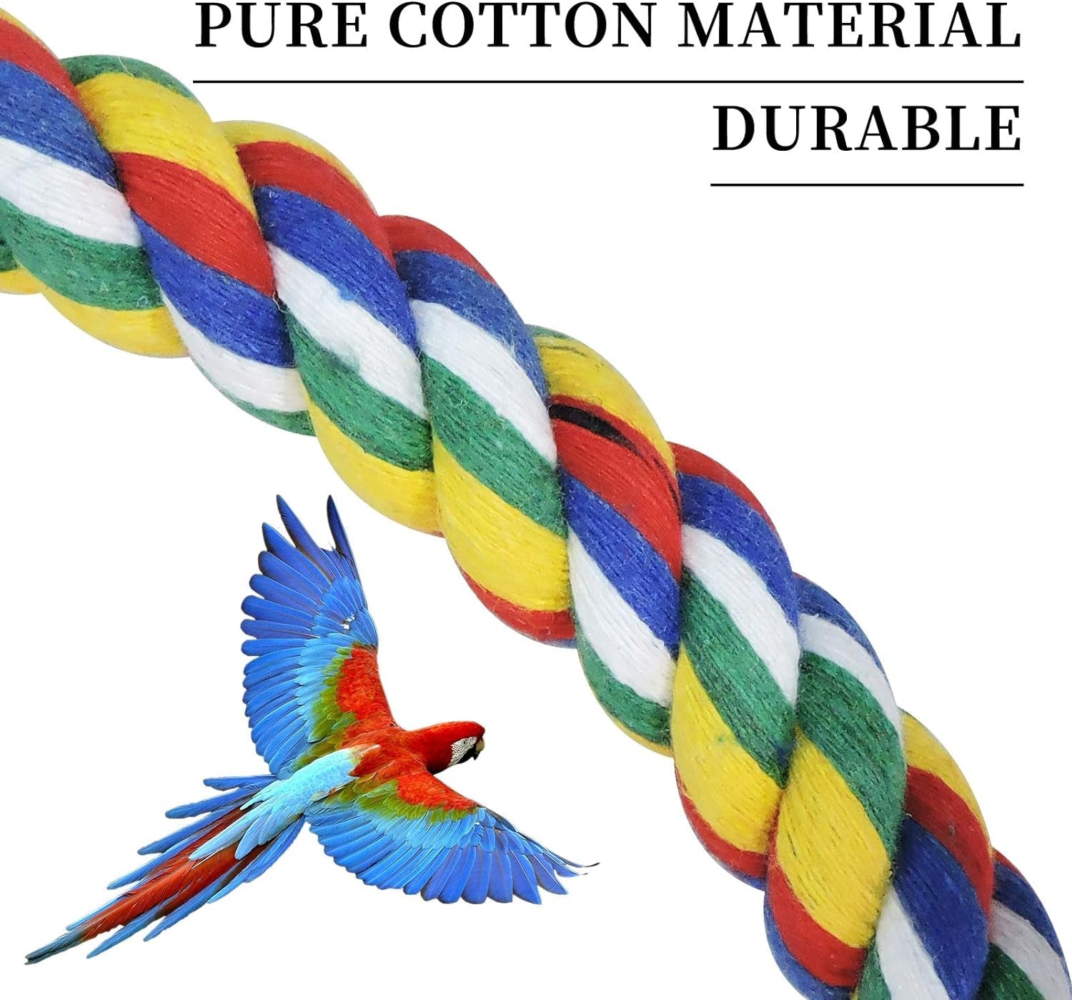 Budgie Swing for Birds