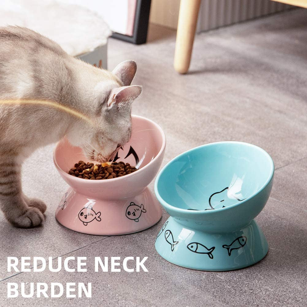 Raised Cat Bowl