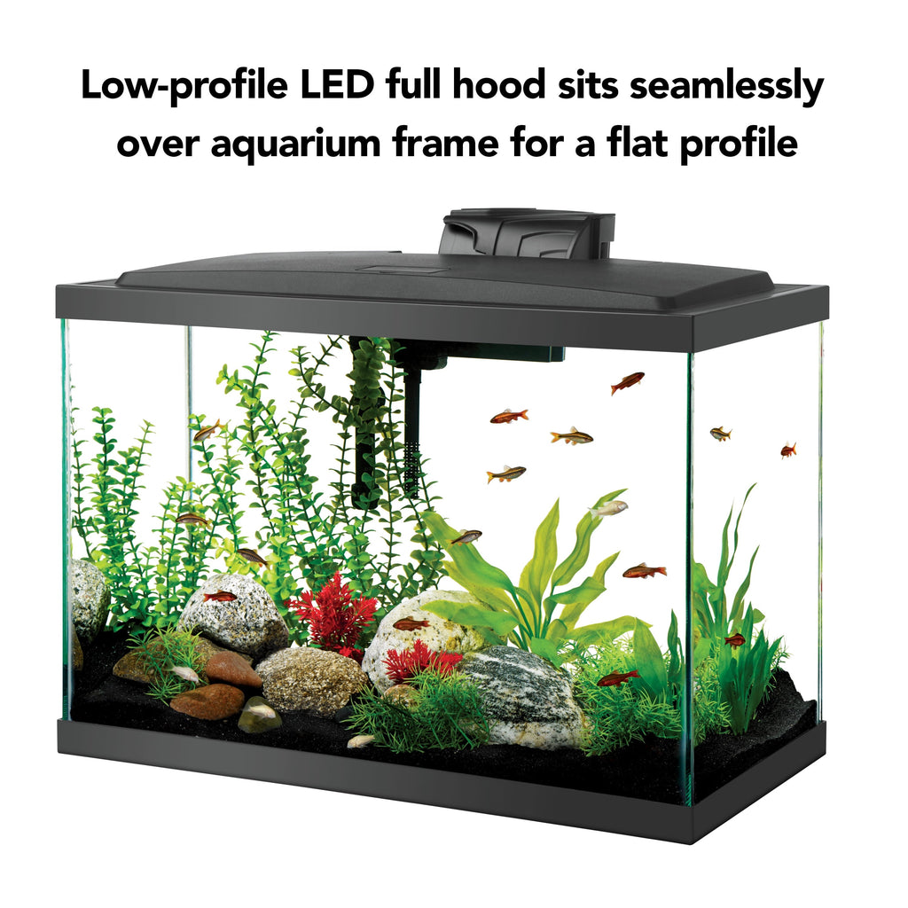 Aquarium Starter Kit with LED Lighting/20 Gallon