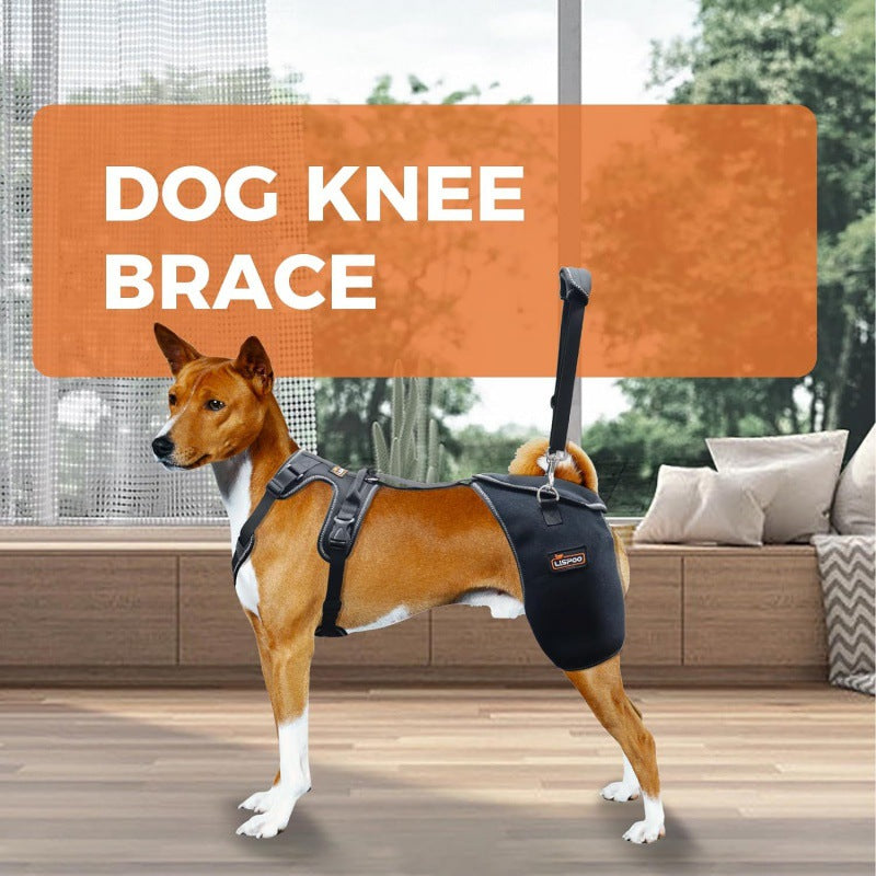 Hip Joint Knee Support Brace For Dogs With Chest Harness