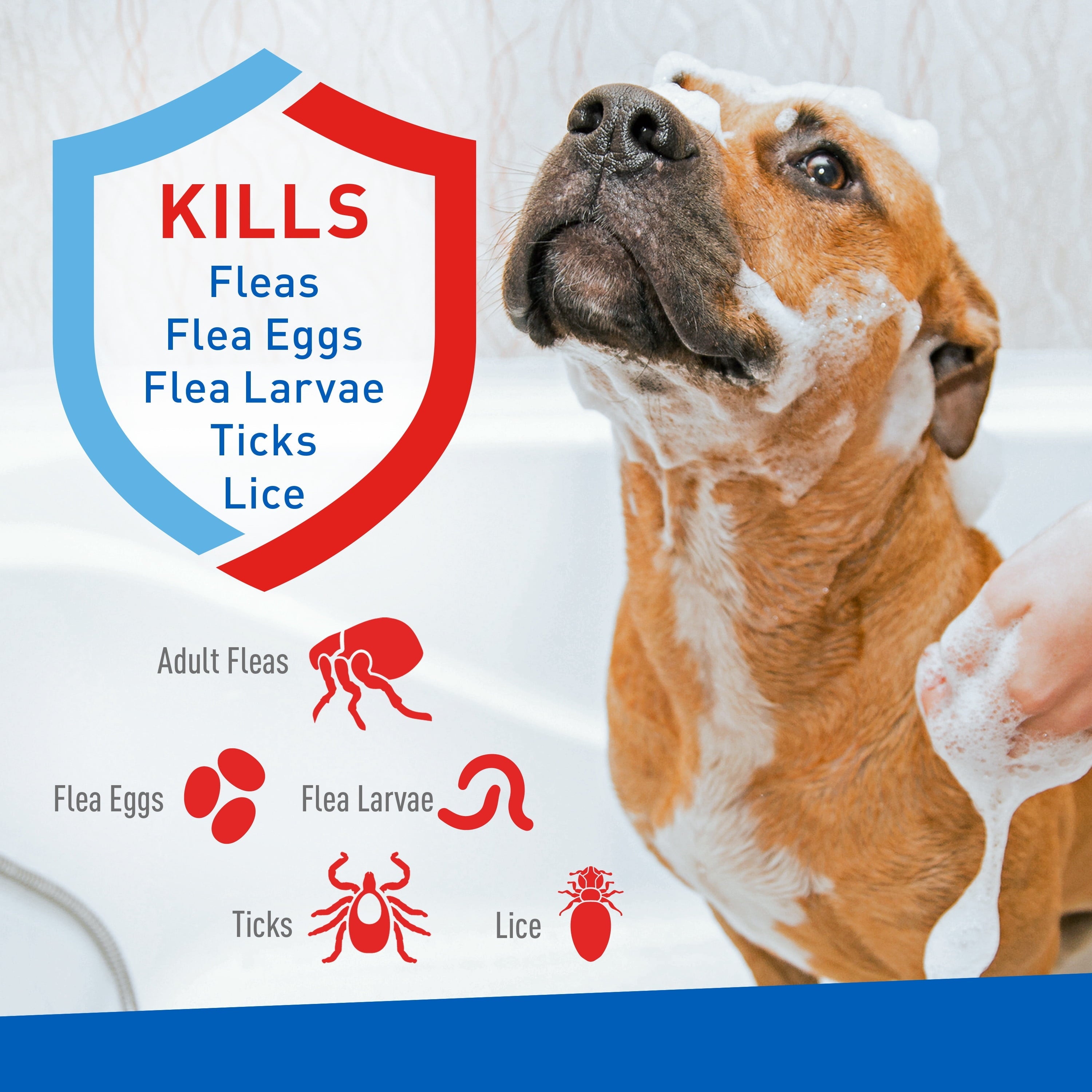 ADAMS Plus Flea & Tick Foaming Shampoo & Wash - 2 Pack