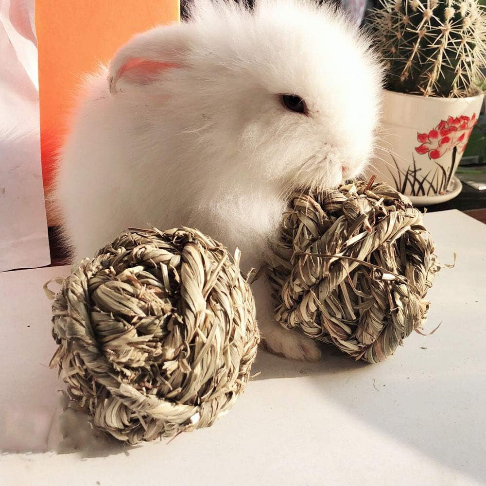 Timothy Grass Chew Ball for Bunnies, Hamsters, and Guinea Pigs! 🐰🐹🥳