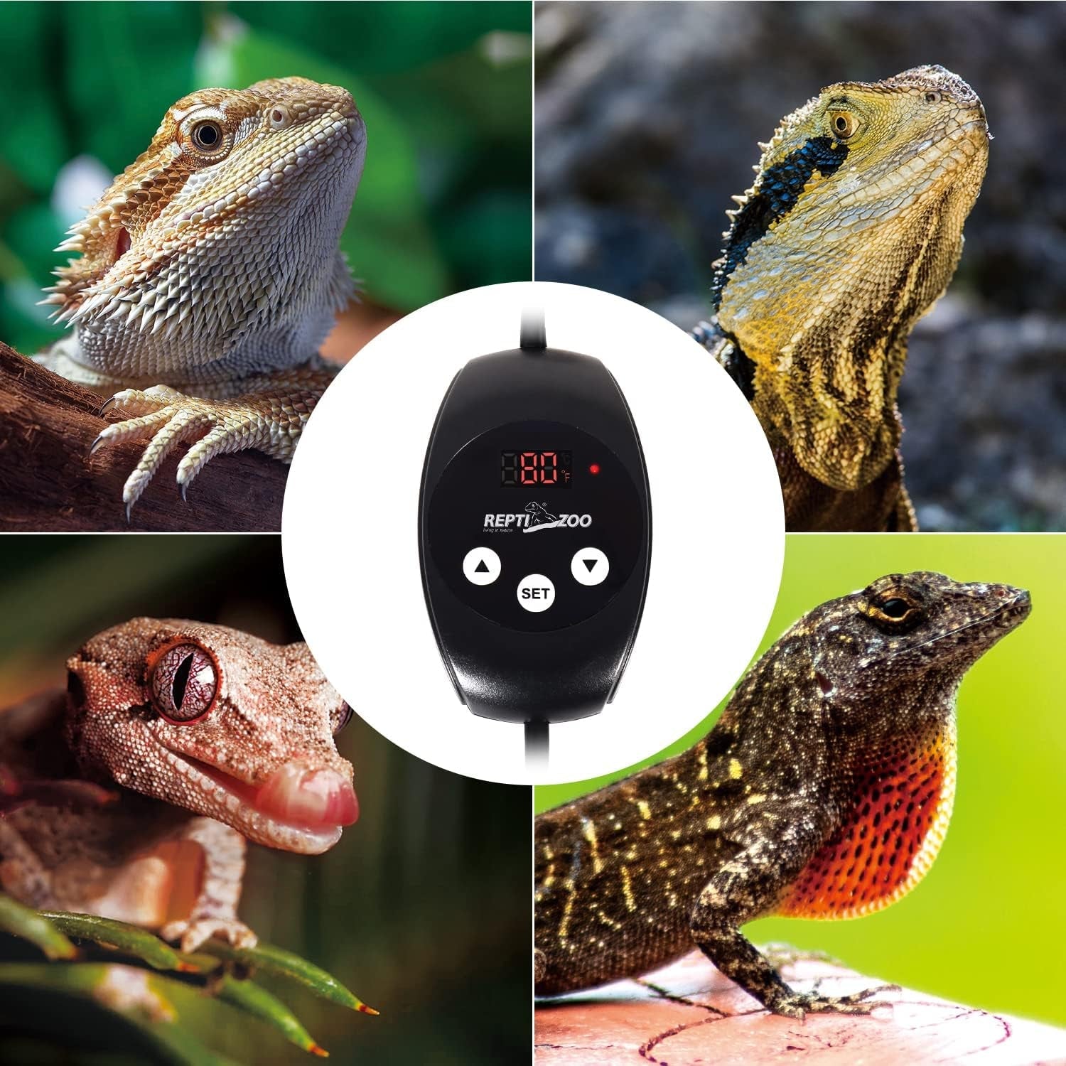 Reptile Thermostat PID Dimming Controller