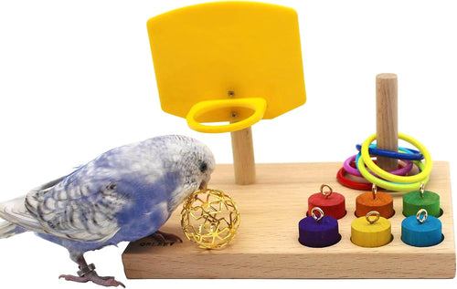Bird Toys for Budgies and Parrots