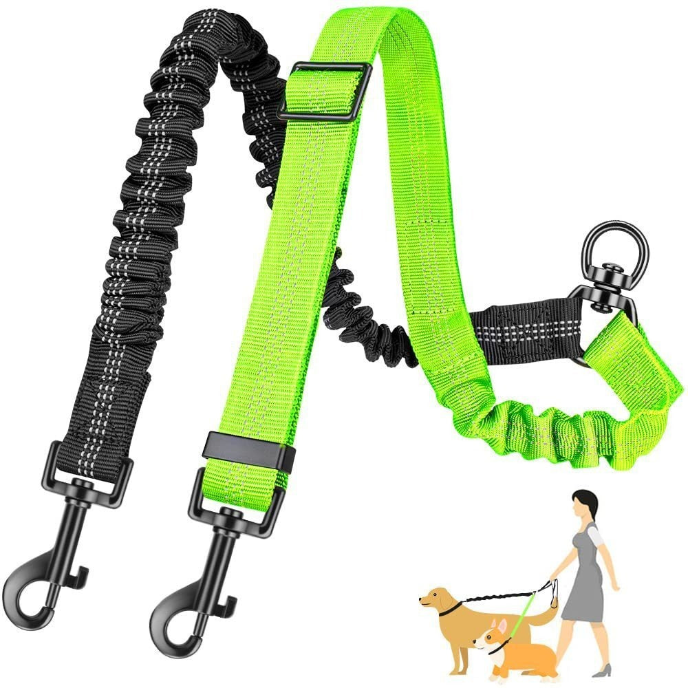 Double Leash for Dogs