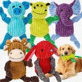 5 Pack Squeaky Dog Toys