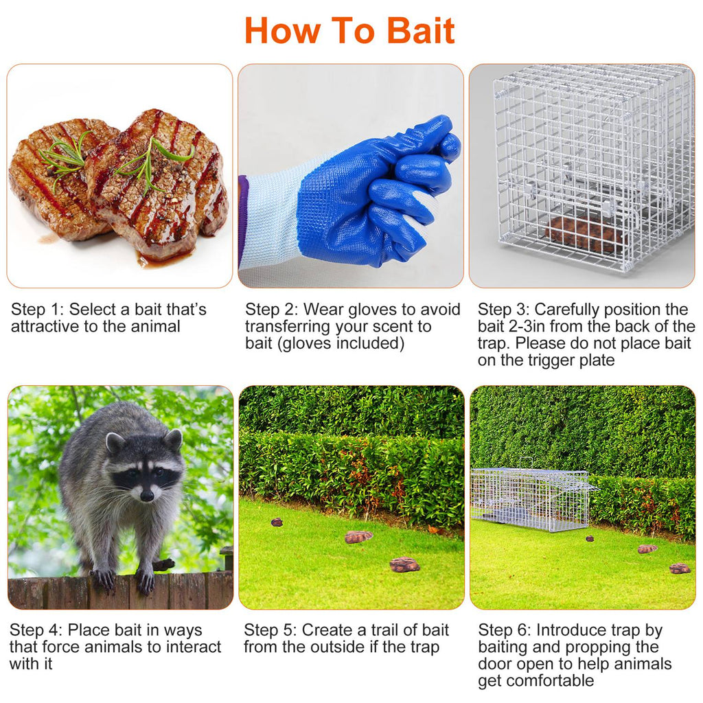 Live Humane Animal Trap
