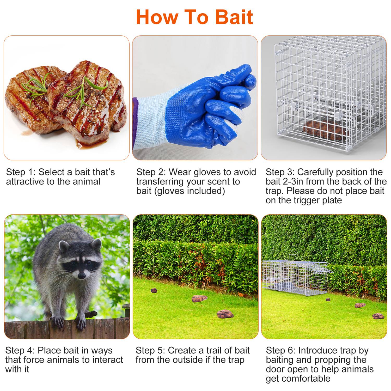 Live Humane Animal Trap