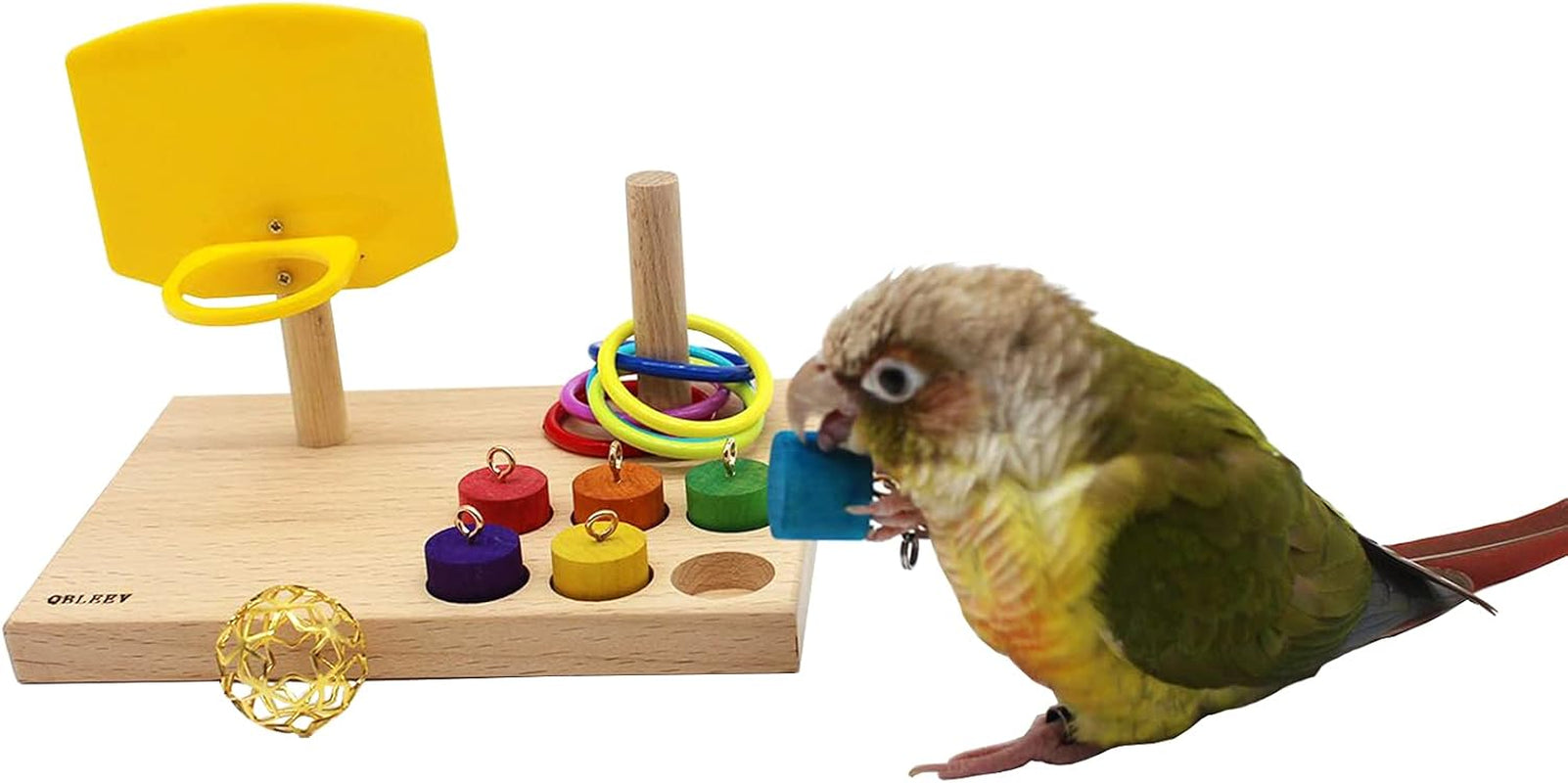 Bird Toys for Budgies and Parrots