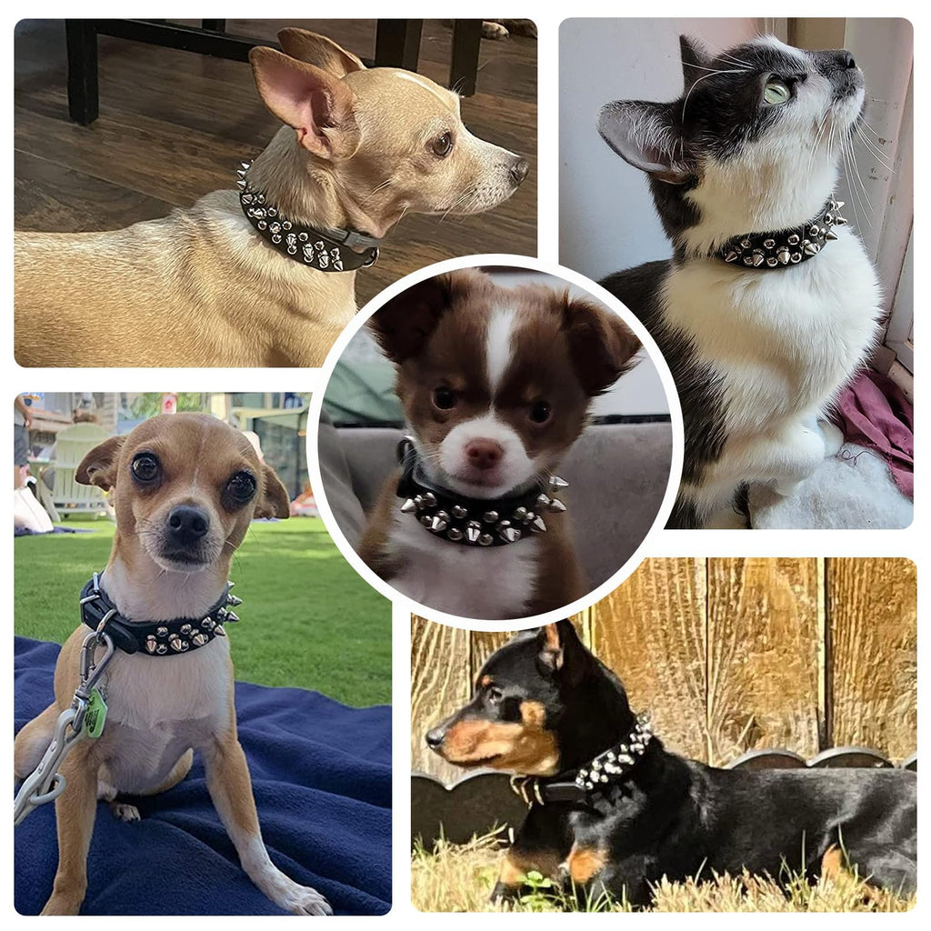 Adjustable Soft Padded Studded Puppy / Small Dog Collars
