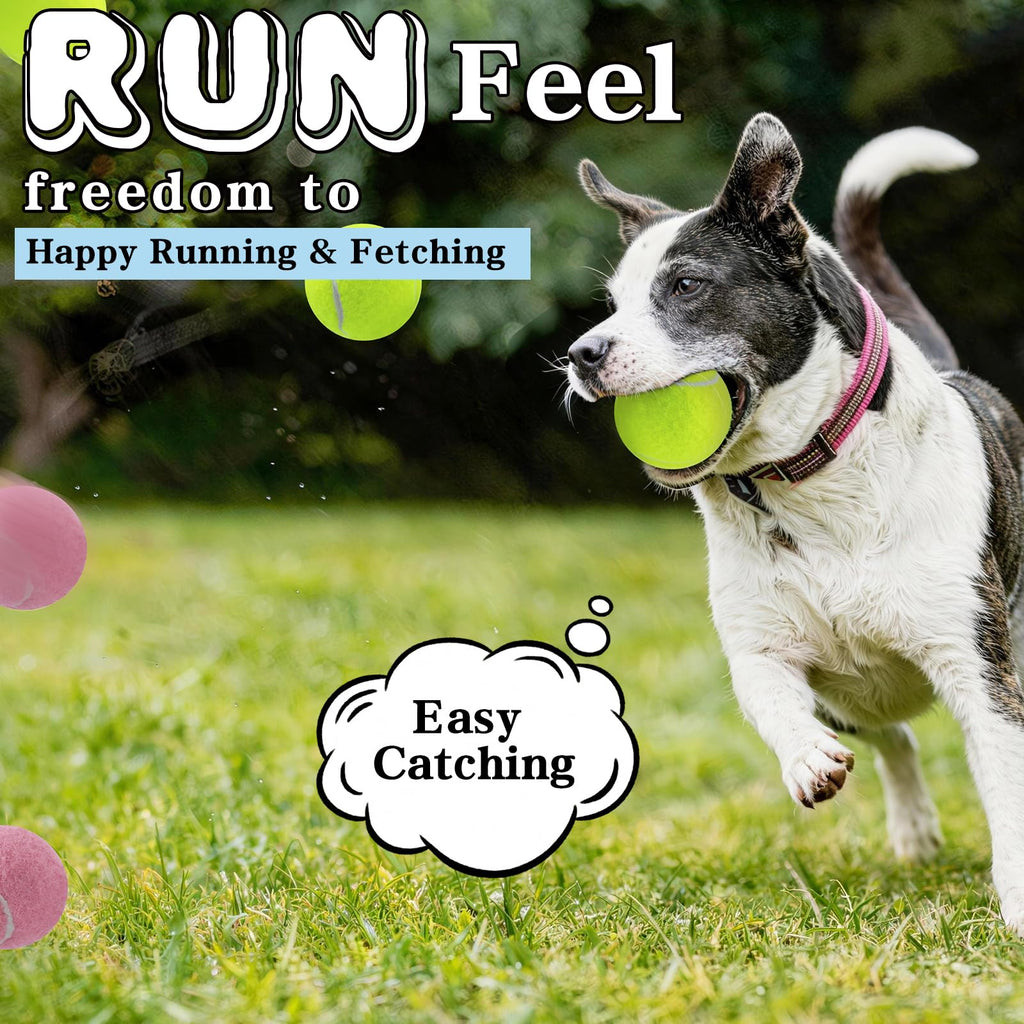 Tennis Balls For Dogs