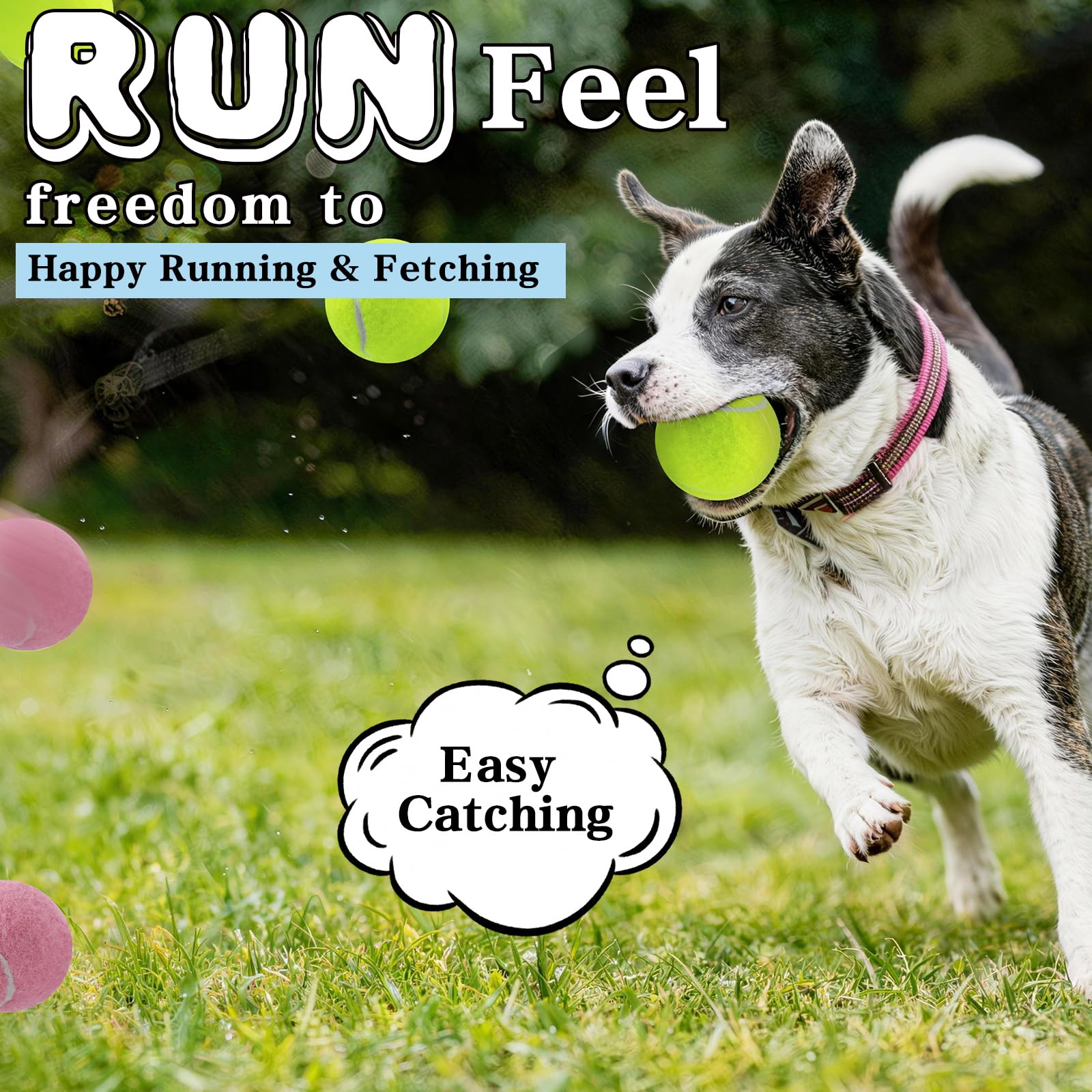 Tennis Balls For Dogs