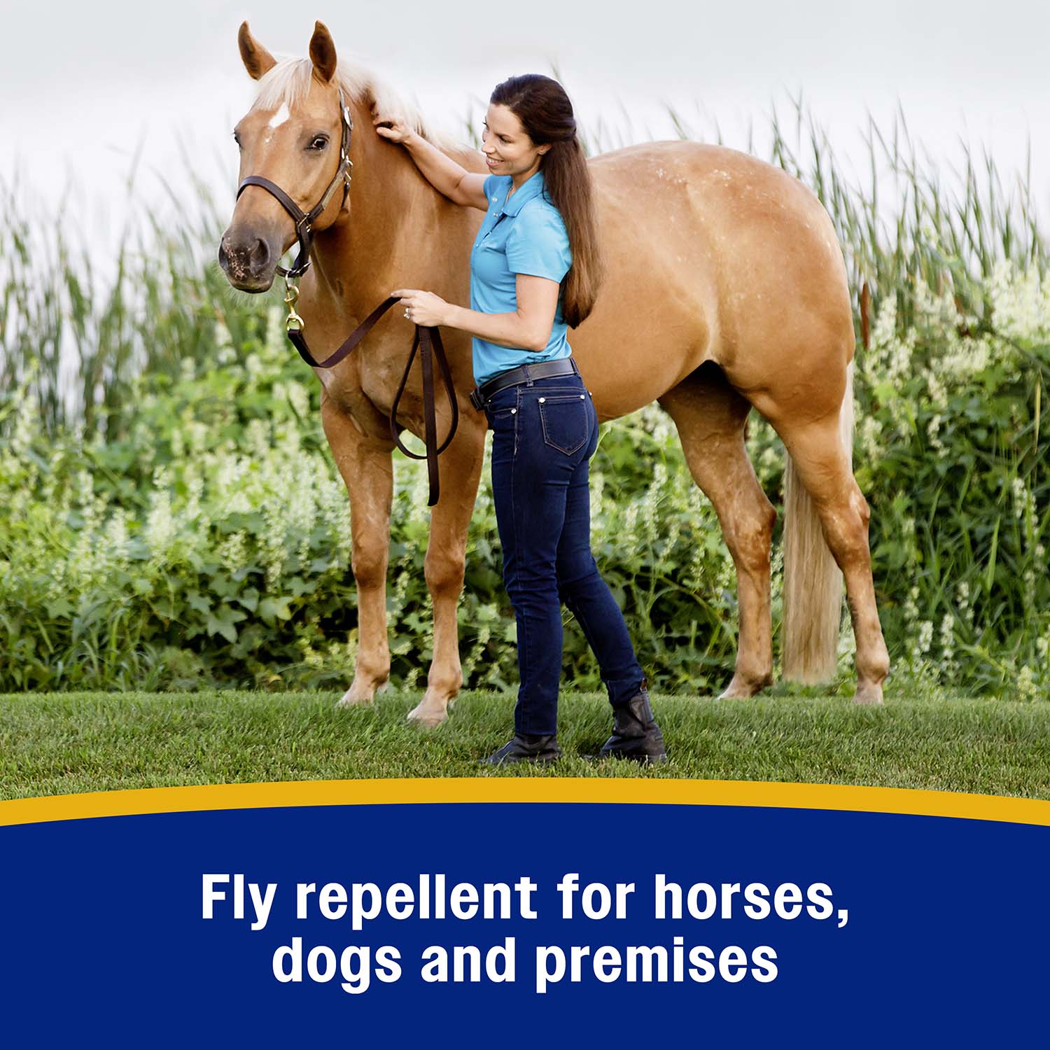 Bronco Equine Fly Spray