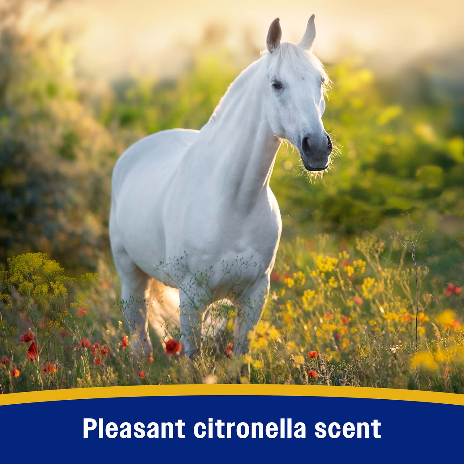 Bronco Equine Fly Spray