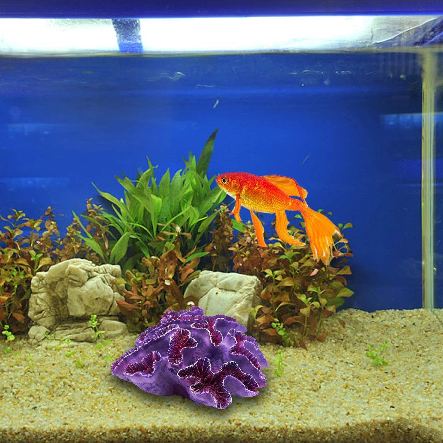 Coral Decor for Fish Tank
