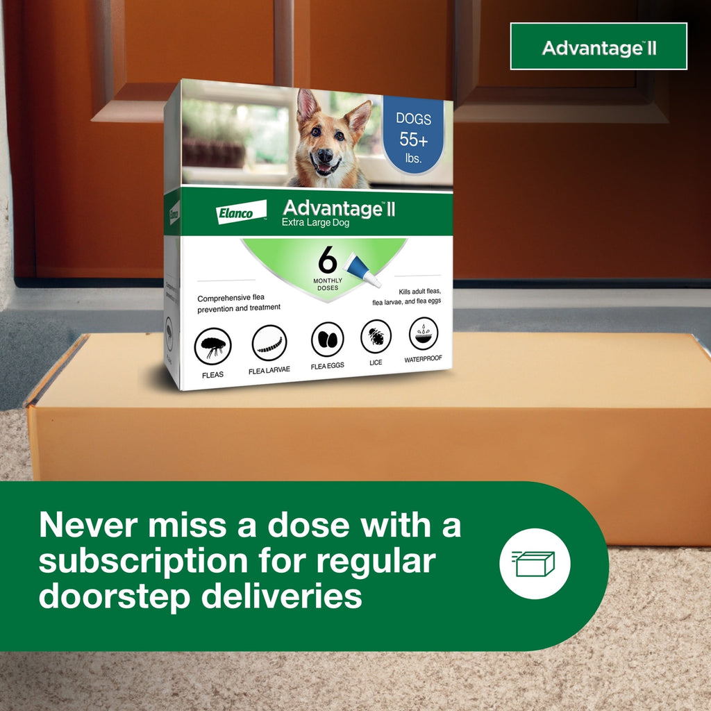 Vet-Recommended Flea Prevention for XL Dogs 55 Lbs+,