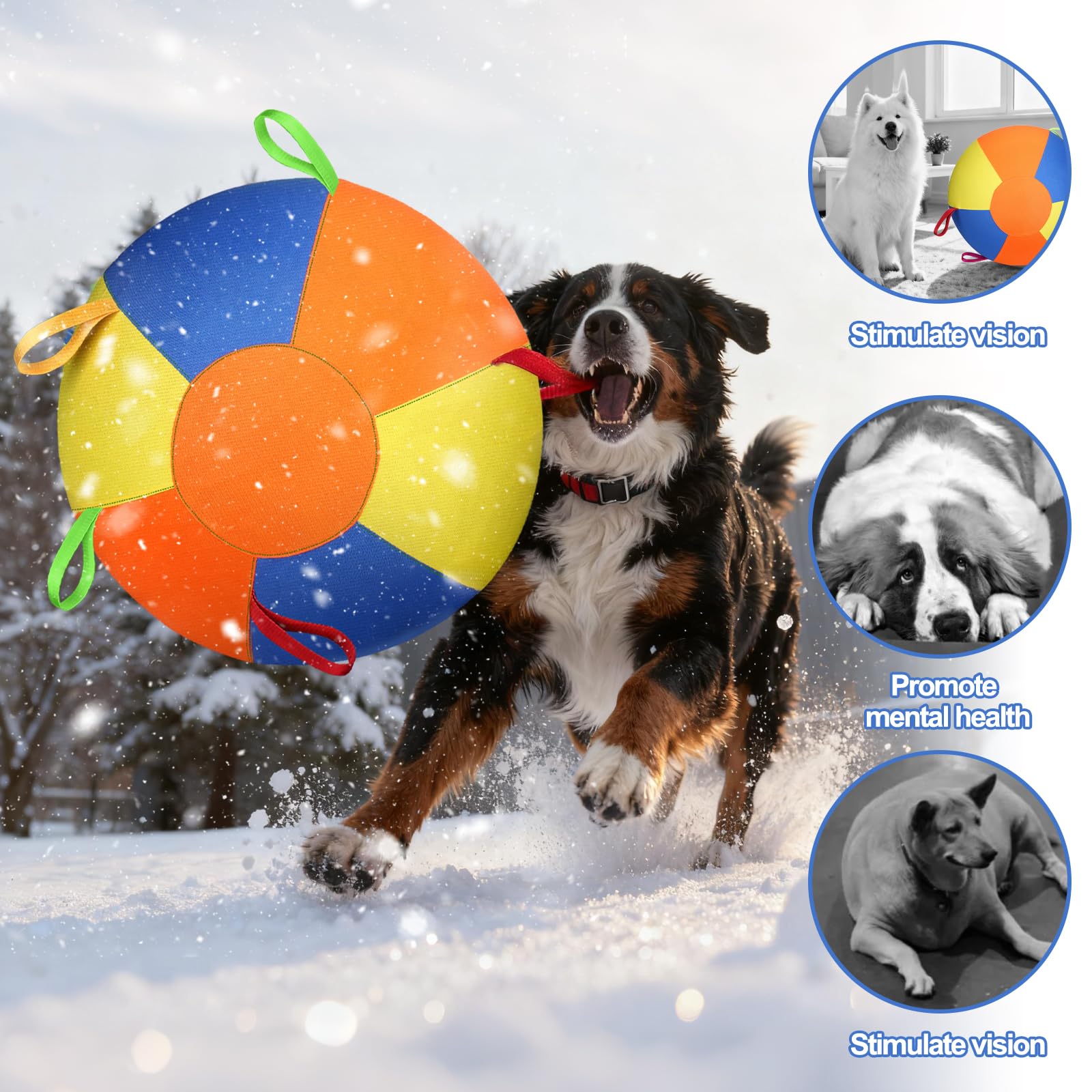 Large Dog Ball With Handles