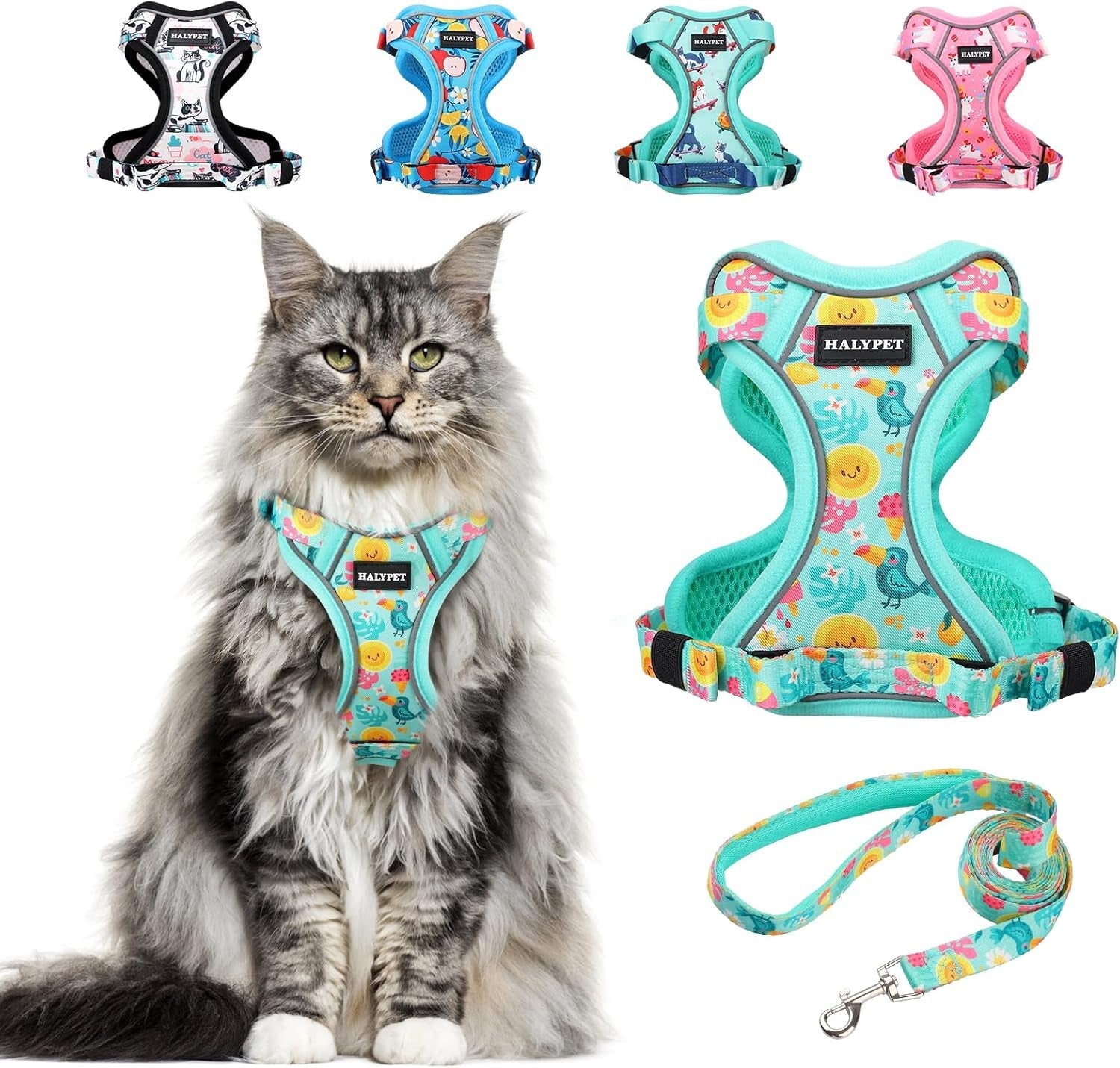 Cat Harness and Leash Set