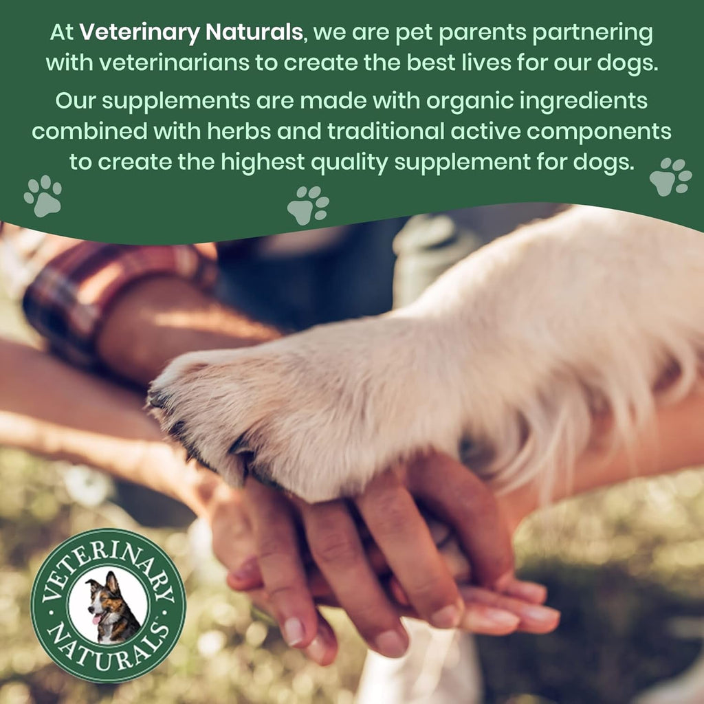 Hip Joint Supplement for Large Dogs
