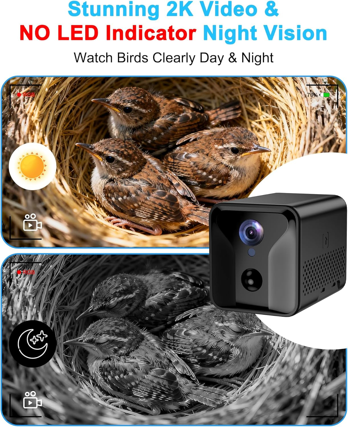 Solar Powered Smart Birdhouse  Camera
