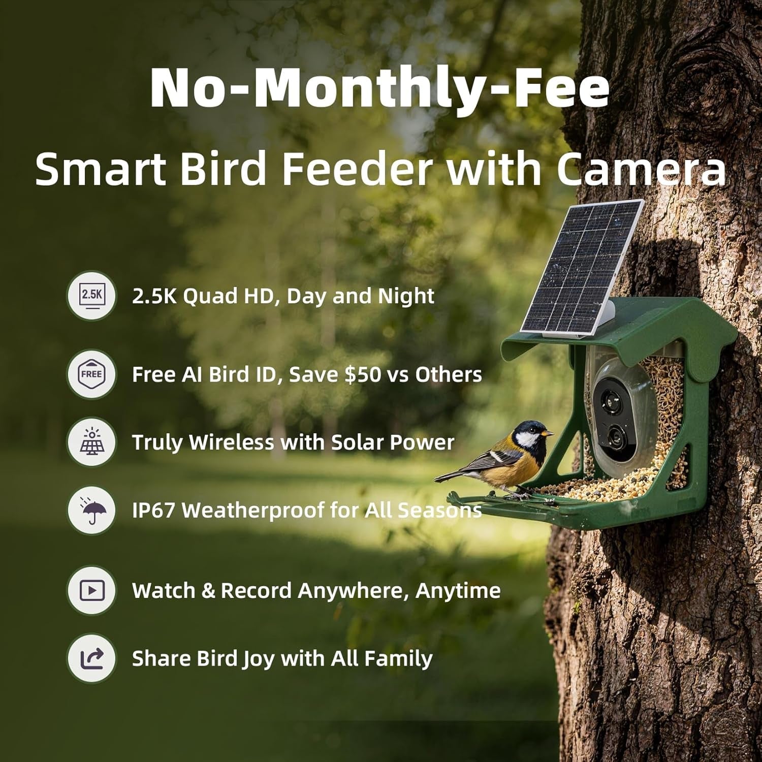 Solar Bird Feeder Camera with Motion Detection