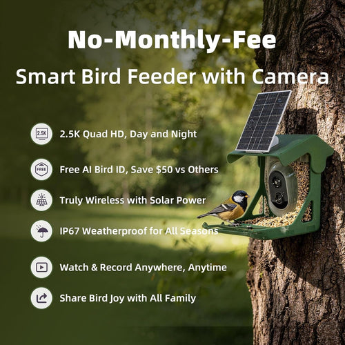 Bird Feeder with Solar Powered WIFI Camera