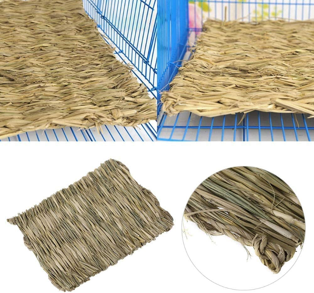 12 Grass Mats for Your Small Pets' Snack Time and Nap Zone!