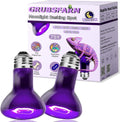Night Heat Bulb for Reptiles / 2 Pack