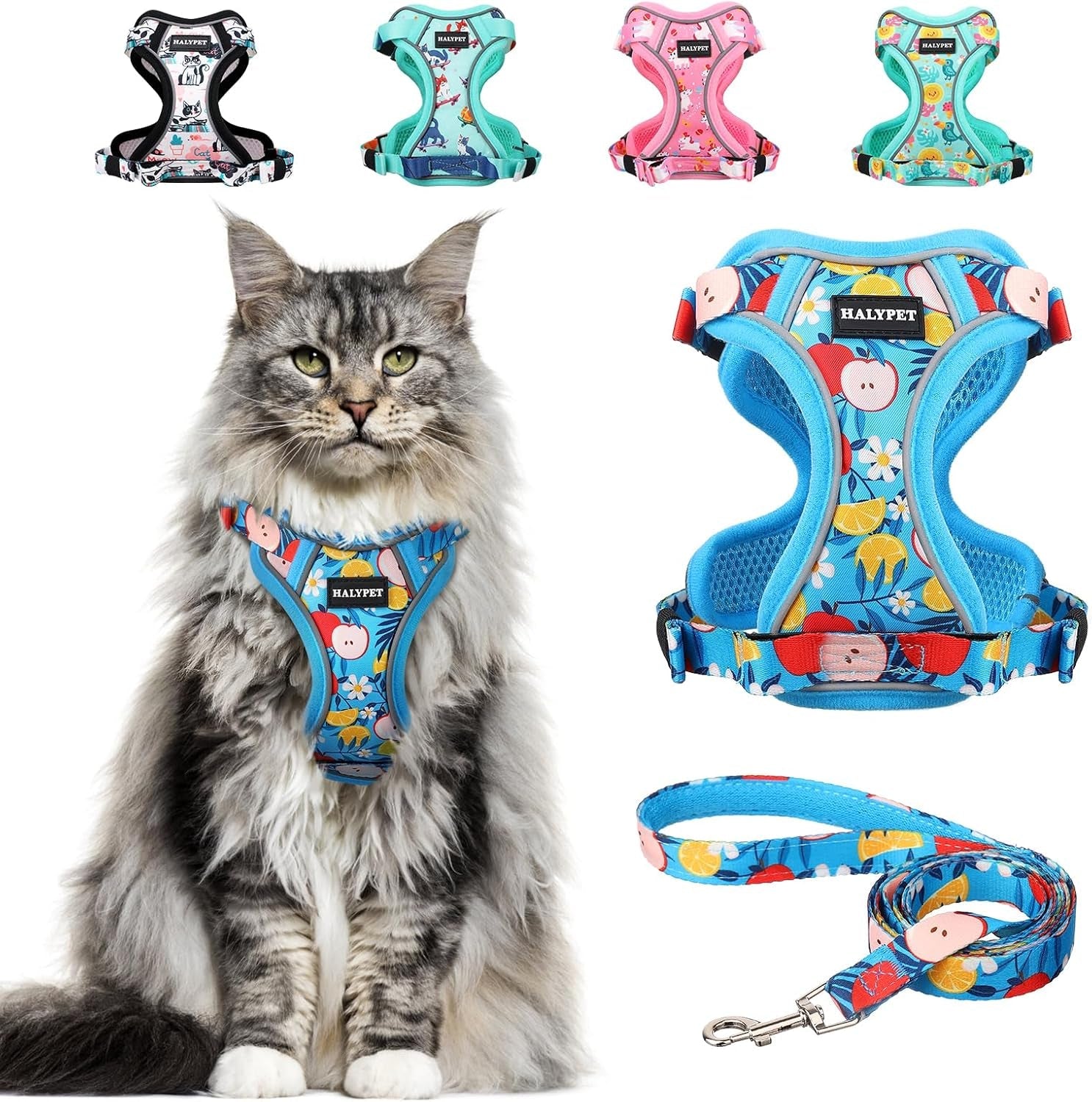 Cat Harness and Leash Set