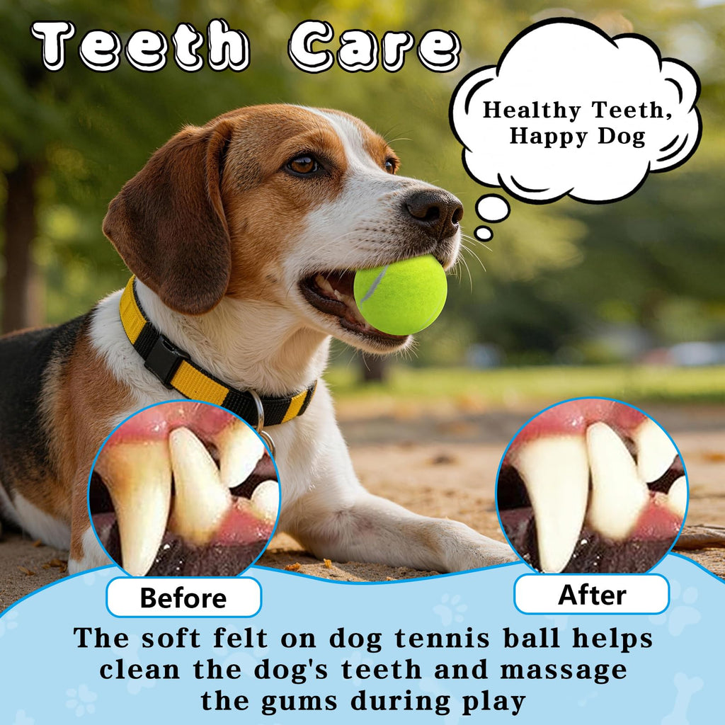 Tennis Balls For Dogs