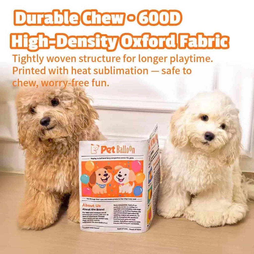 Indestructible Newspaper Dog Toy / 2-Pack