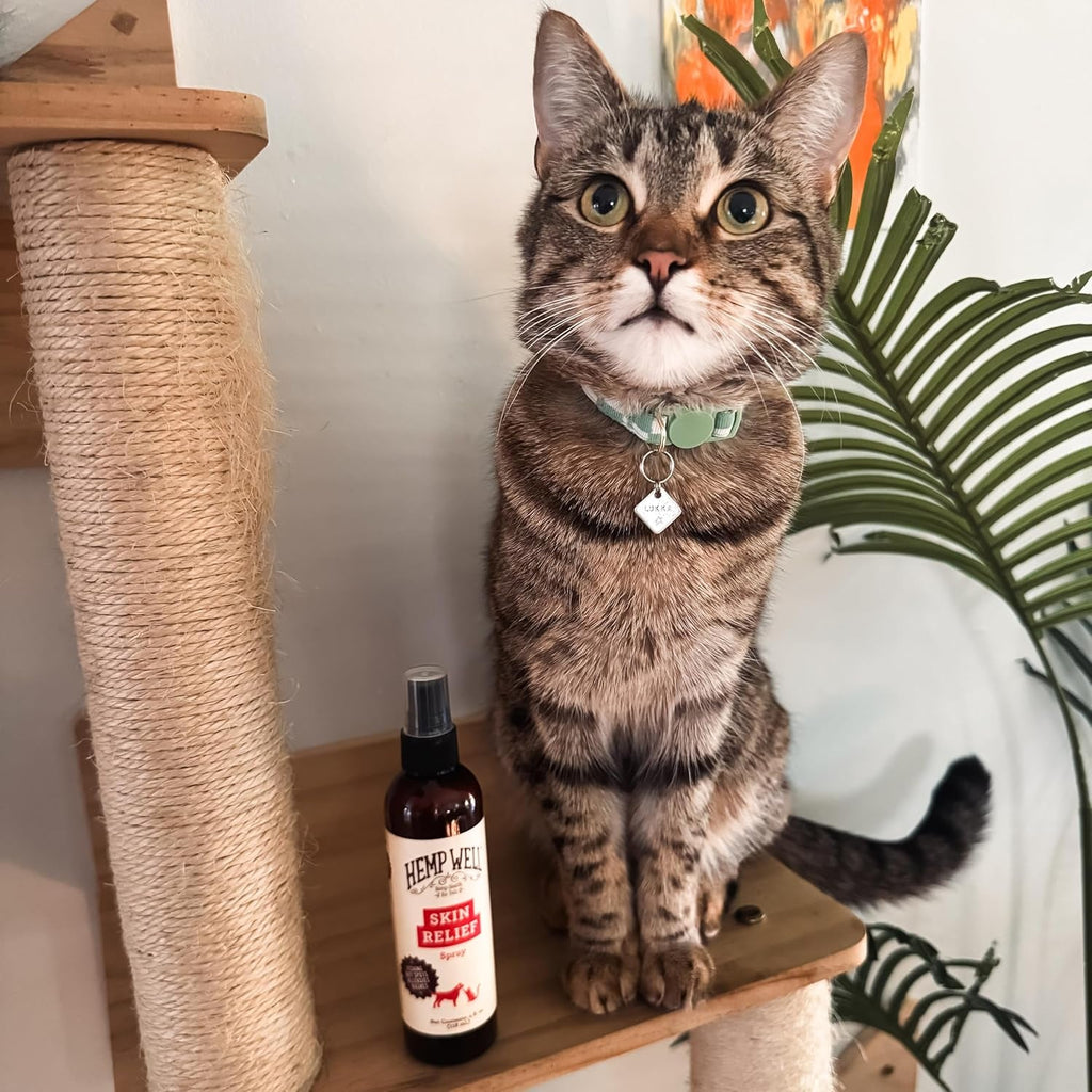 Hemp Itch Relief Spray for Dogs & Cats