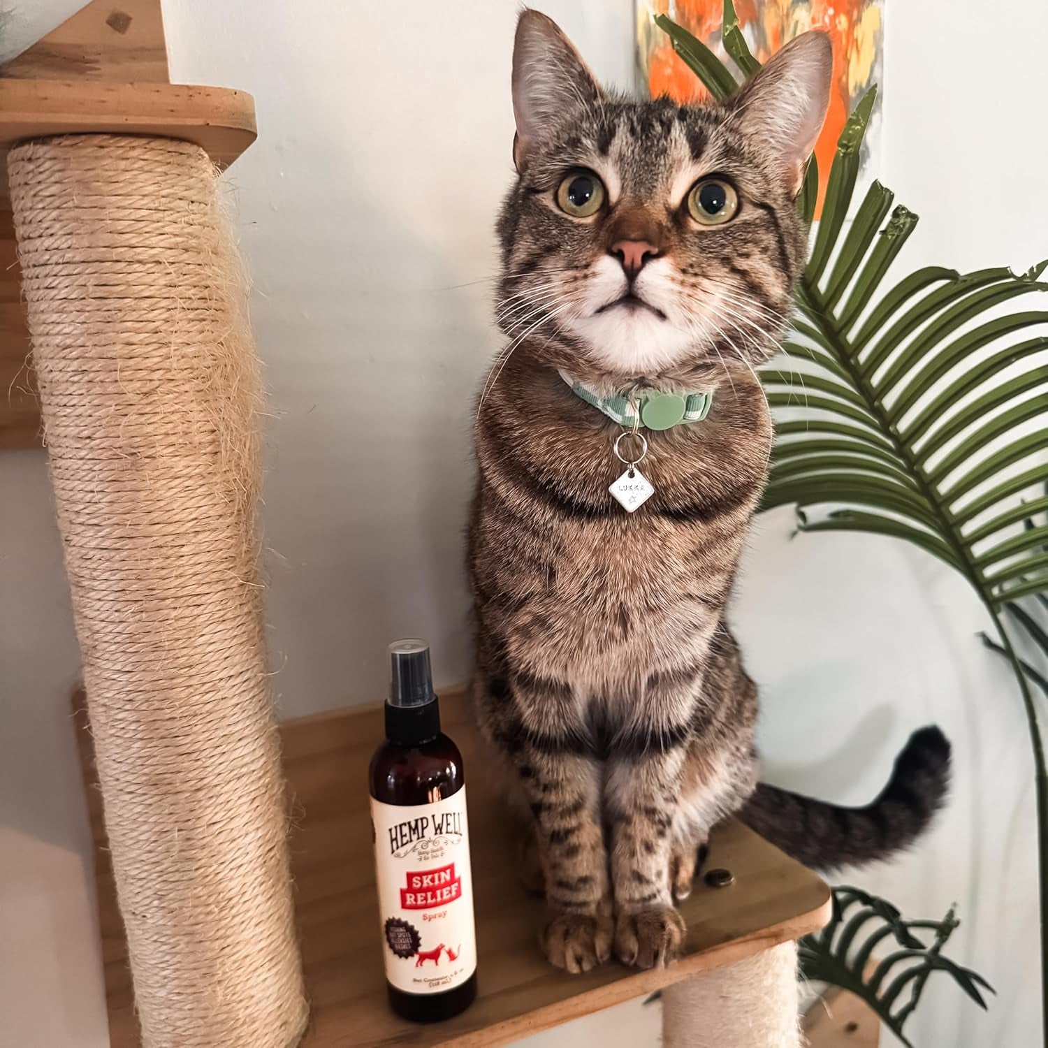 Hemp Itch Relief Spray for Dogs & Cats