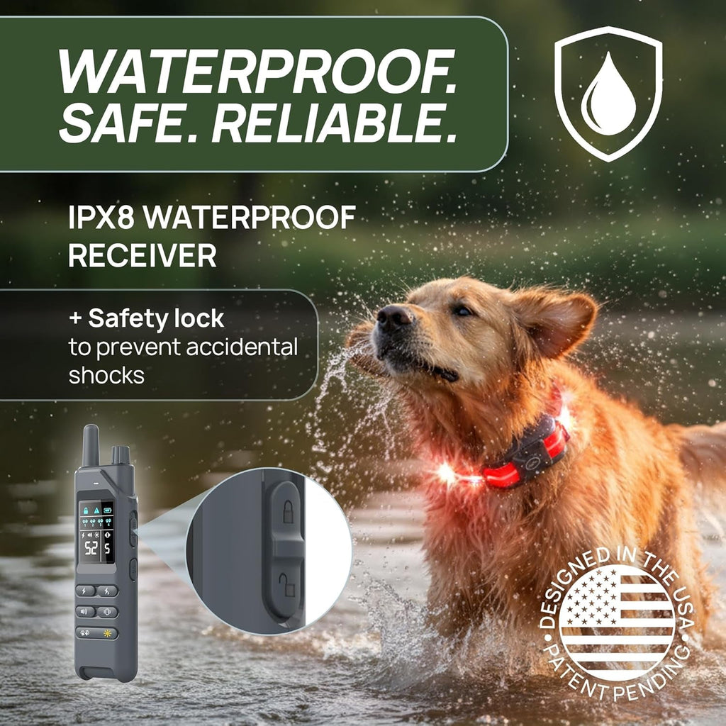 Training Collar for Dogs