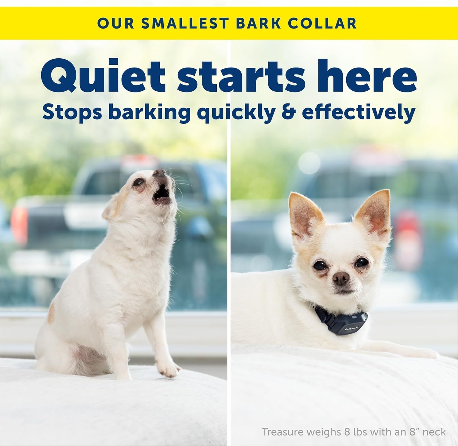 PetSafe  NanoBark  Bark Collar for Small Dogs