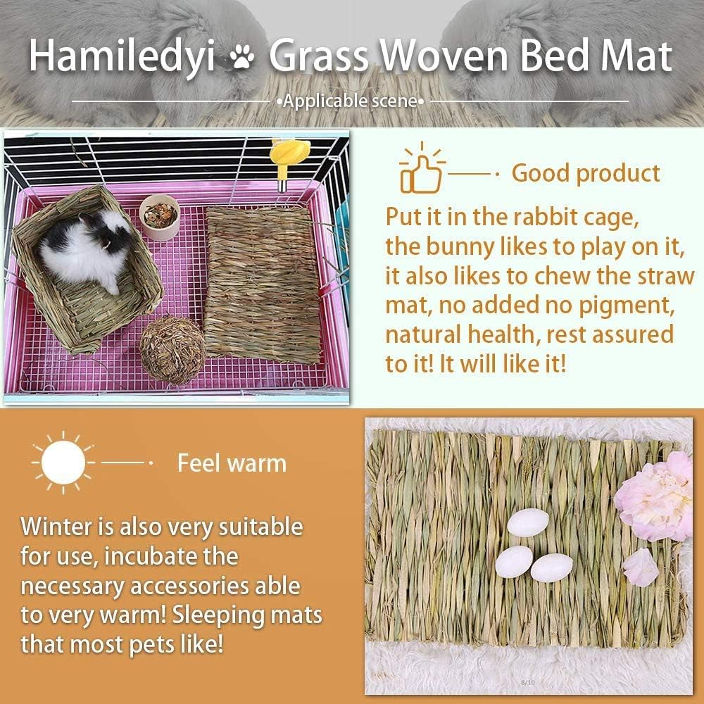 12 Grass Mats for Your Small Pets' Snack Time and Nap Zone!
