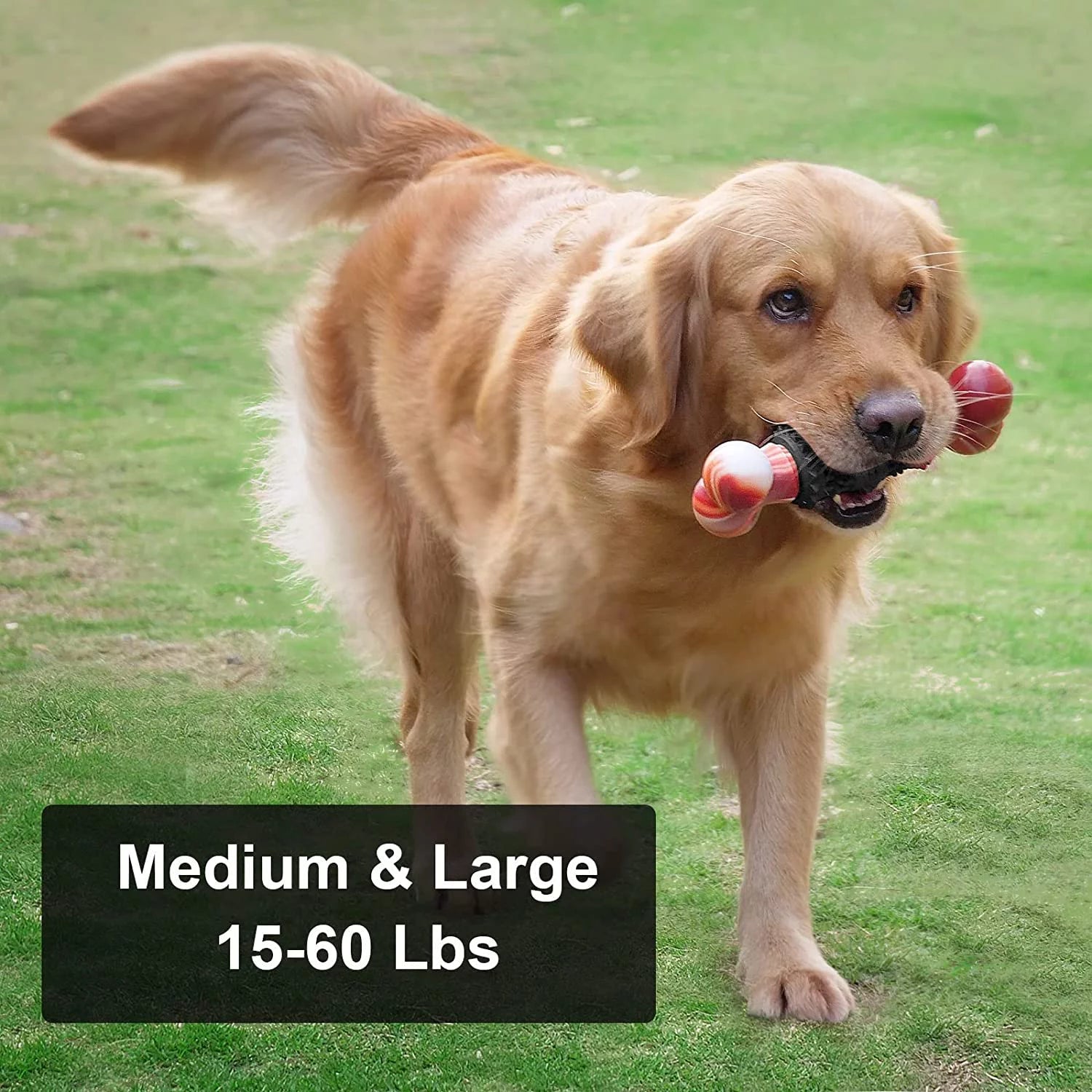 Dog  Bone for Aggressive Chewers
