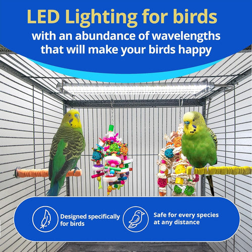 Bird Cage Light with Chew Guard