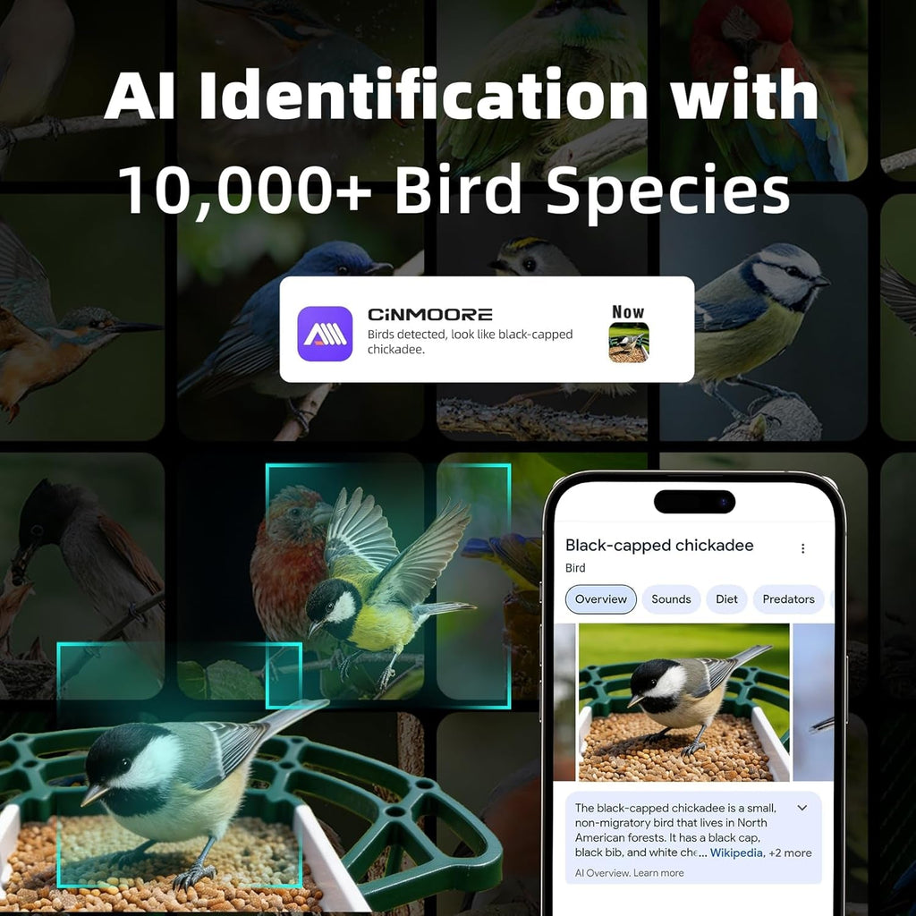Solar Bird Feeder Camera with Motion Detection
