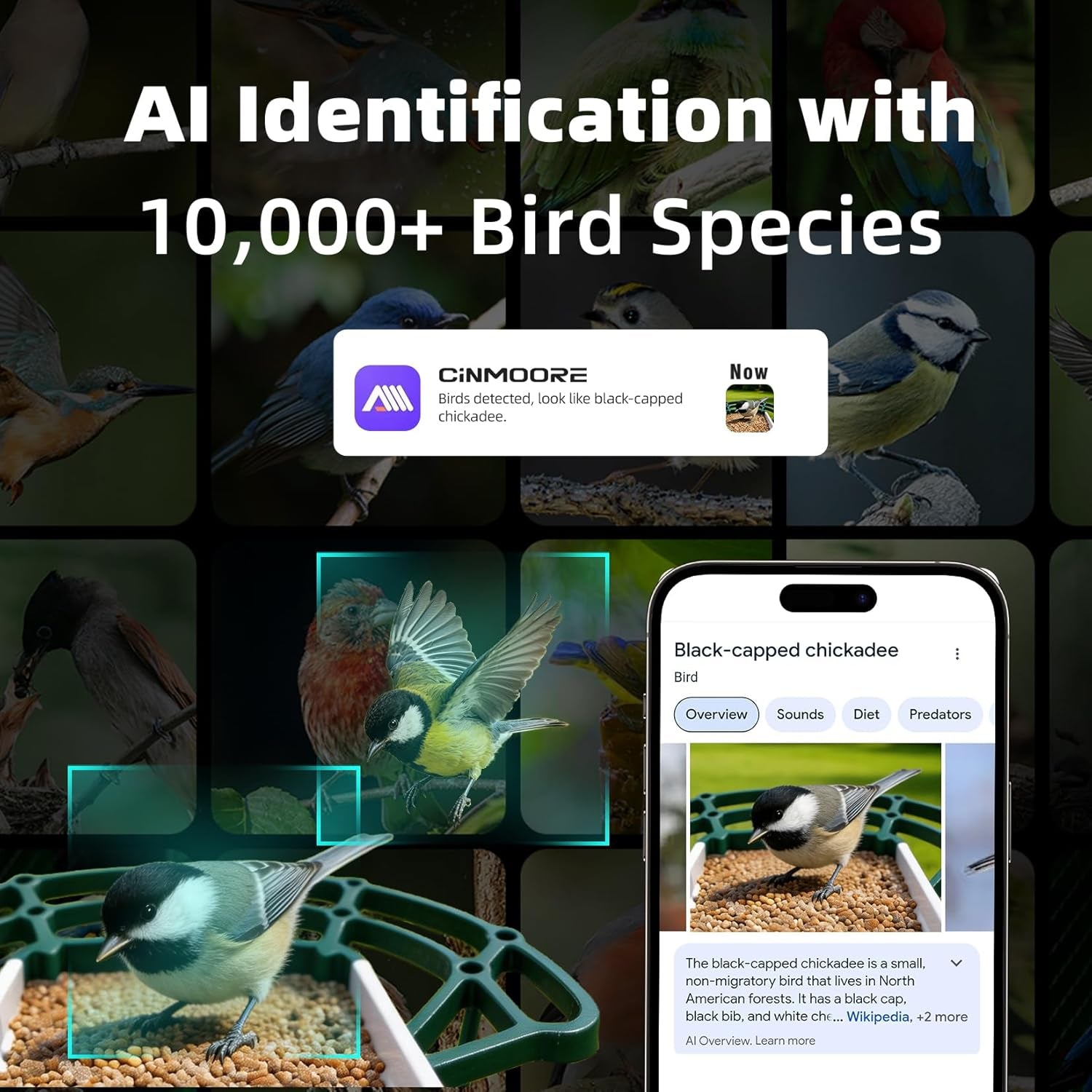 Solar Bird Feeder Camera with Motion Detection