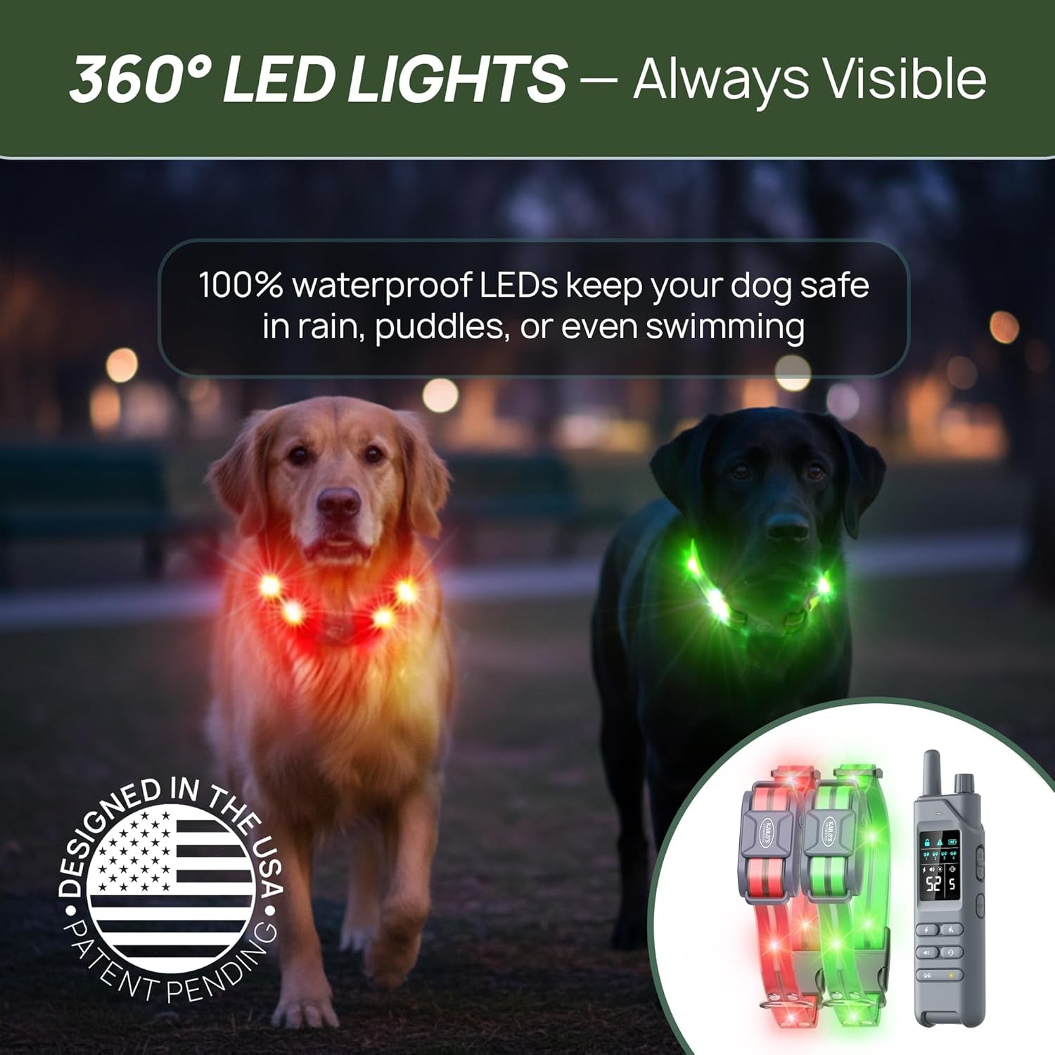 Training Collar for Dogs
