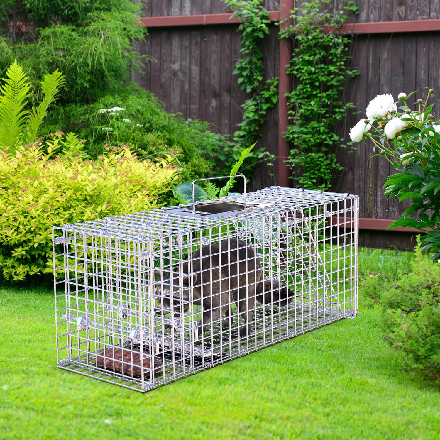 Live Humane Animal Trap