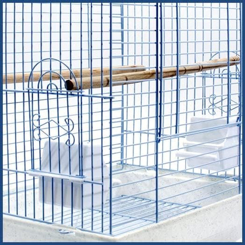 Cockatiel & Small Parrot Starter Kit